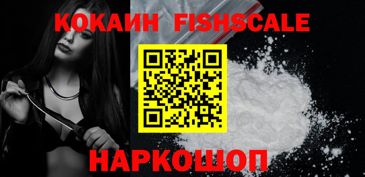 COCAIN Fish Scale  цены   Тара  Вход с VPN 