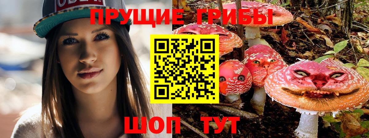 купить наркотики цена  Галлюциногенные грибы GOLDEN TEACHER  Вход с VPN  Тара  Галлюциногенные грибы мицелий 